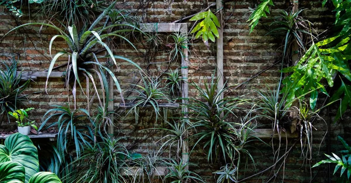 Come Creare una Parete Verde Fai-da-te per Ogni Ambient