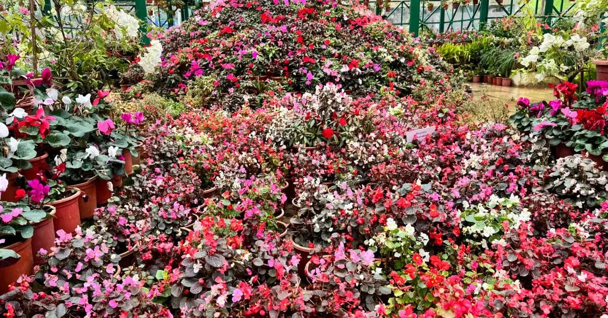 Come Realizzare un Giardino Verticale Fai-da-te: Tecniche e Segreti