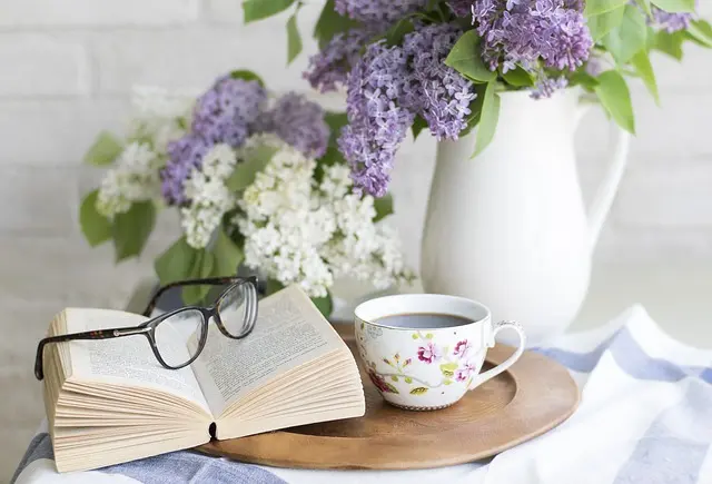 Come Creare un Giardino Verticale Sostenibile Fai-da-te