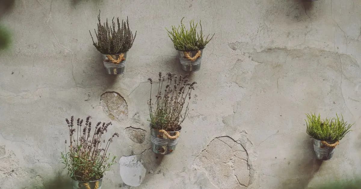 Come Creare Un Giardino Verticale Sostenibile Fai-da-te