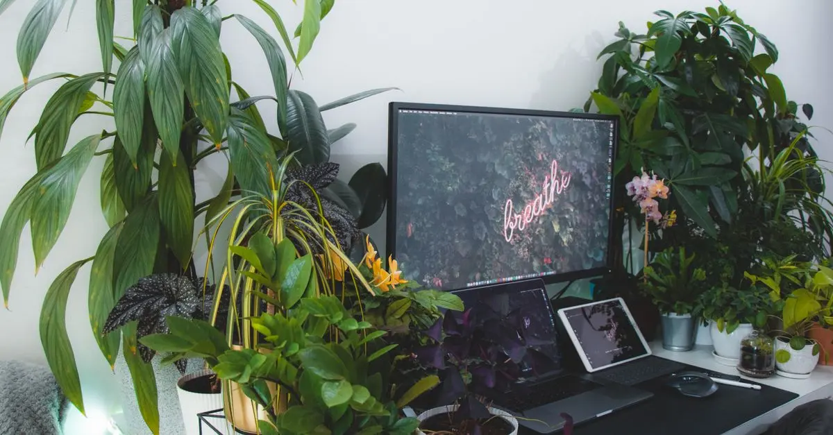 Come Realizzare un Giardino Verticale Fai-da-te: Guida Completa