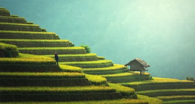 5 Progetti Fai-da-te Sostenibili per Rinnovare la Casa