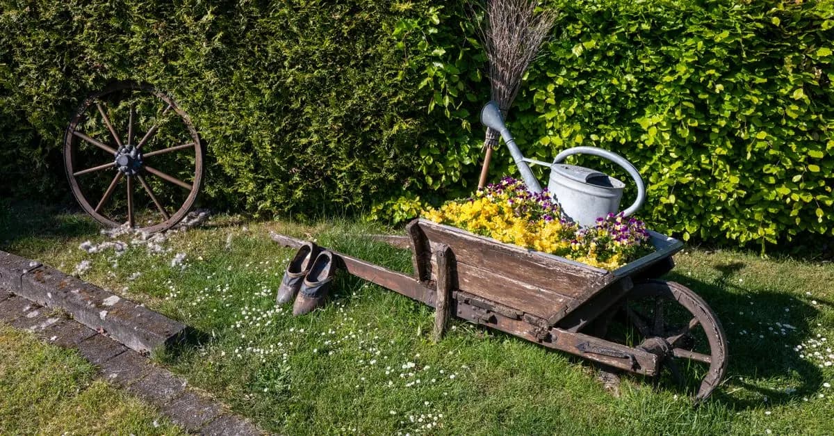 Come Creare un Giardino Raccoglitore di Acqua Fai-da-te