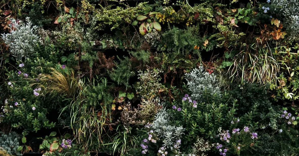 Come Creare un Giardino Verticale Fai-da-te: Guida Passo Passo