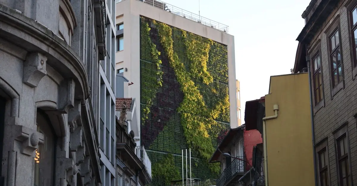 Come Creare un Giardino Verticale Sostenibile: Tecniche e Suggerimenti