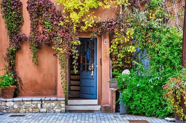 10 Consigli Pratici per Creare un Giardino Verticale di Successo