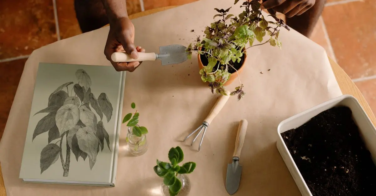 Le Ultime Tendenze del Fai-da-te per Casa e Giardino