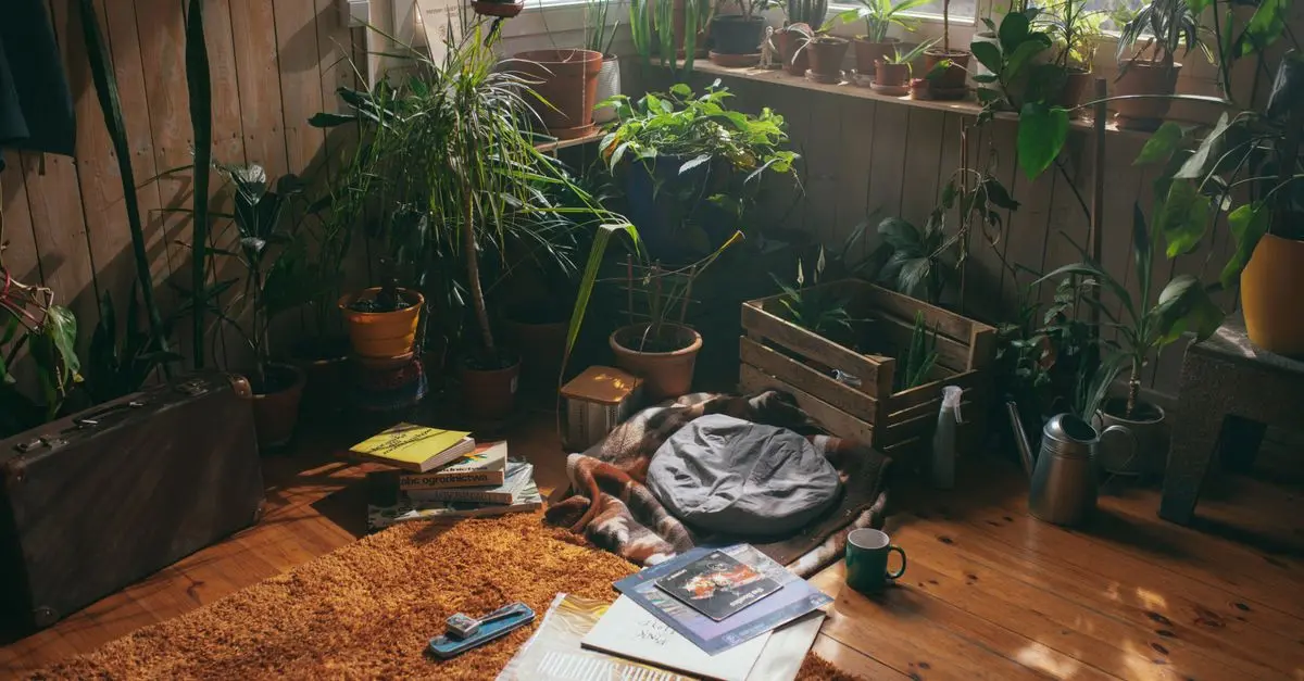 Come Realizzare un Giardino Verticale Fai-da-te
