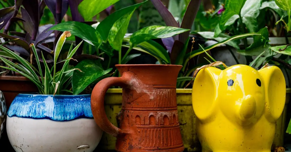 Guida Pratica per Creare un Giardino Verticale Fai-da-te
