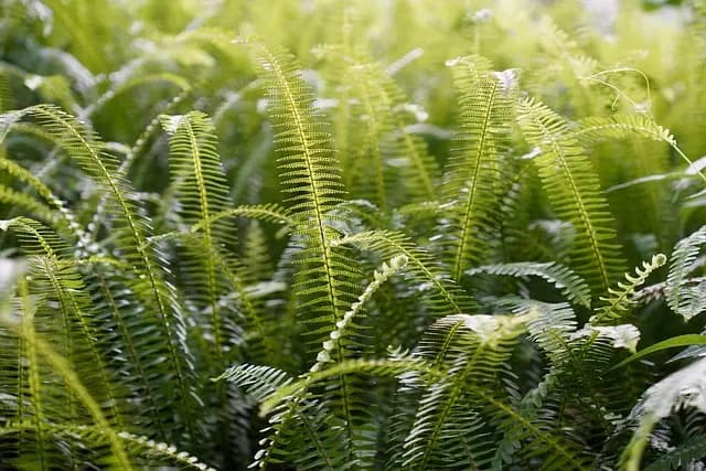 10 Idee Fai-da-te per Abbellire il Giardino in Estate