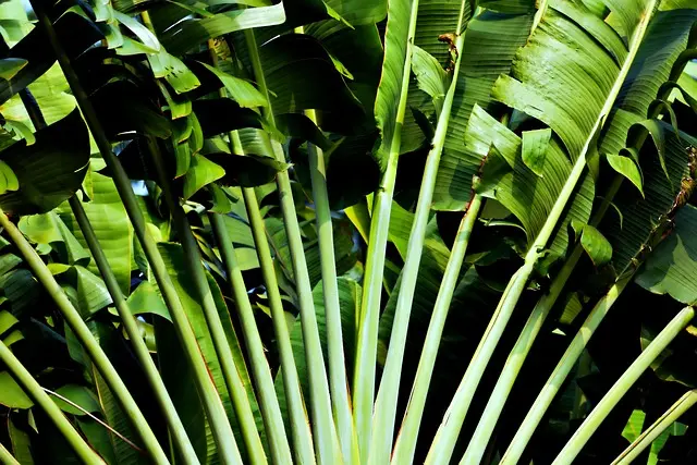 10 Suggerimenti per Creare un Giardino Verticale Fai-da-te