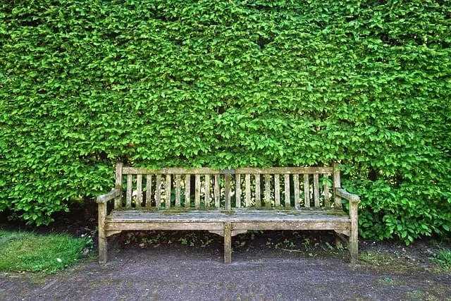 10 Idee Fai-da-te per Rinnovare il Tuo Giardino con Stile