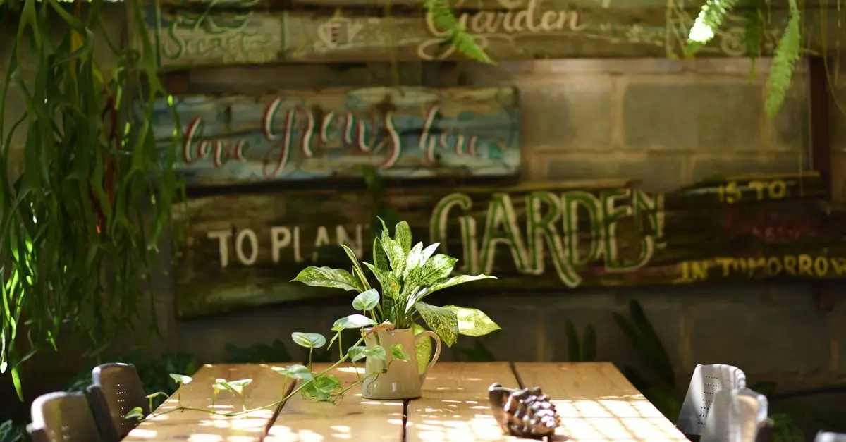 10 Tecniche Fai-da-te per Rinnovare il Giardino con Stile