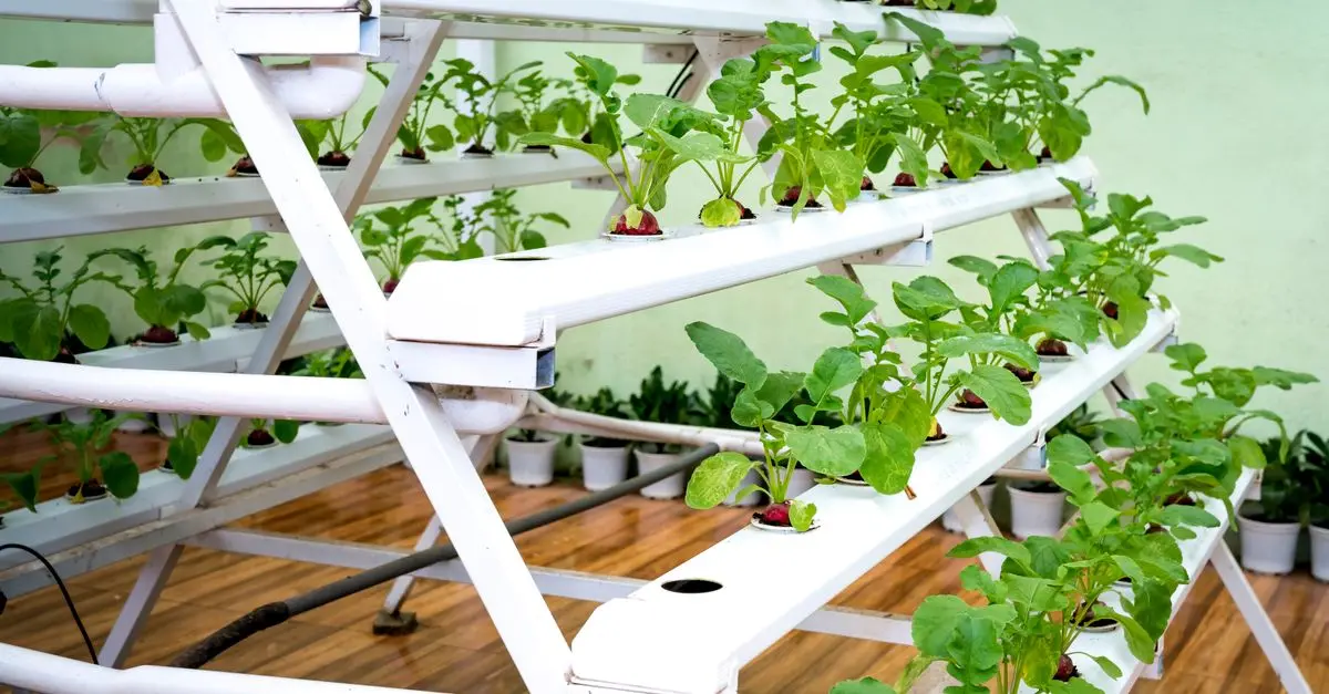 Come Creare un Giardino Verticale Fai-da-te