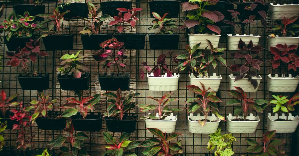 Come Costruire un Giardino Verticale Fai-da-te: Guida Pratica