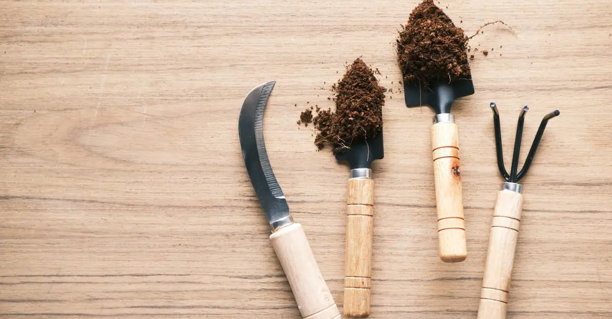 I Migliori Prodotti Fai-da-te per il Giardino