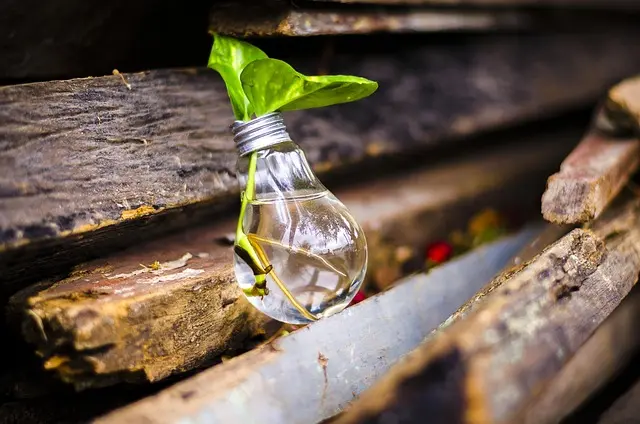 10 Tecniche Efficaci per Un Fai-da-te Sostenibile
