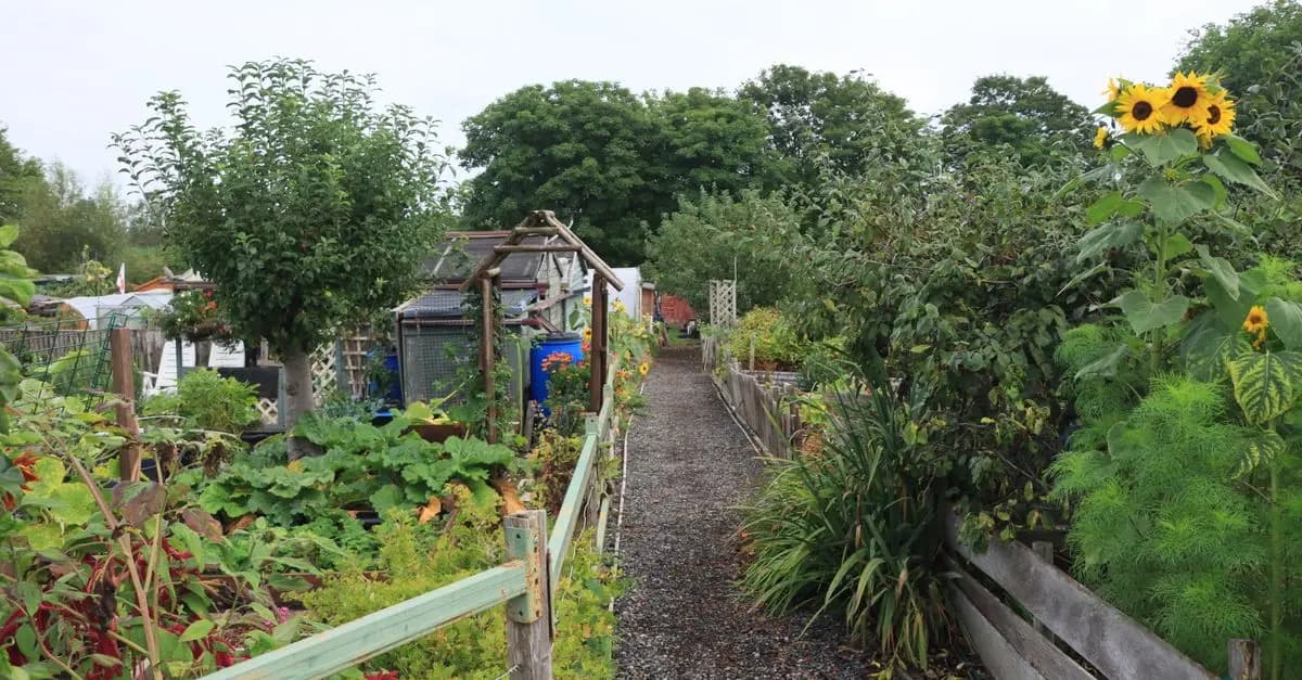 10 Consigli Fai-da-te per Creare un Giardino Sostenibile