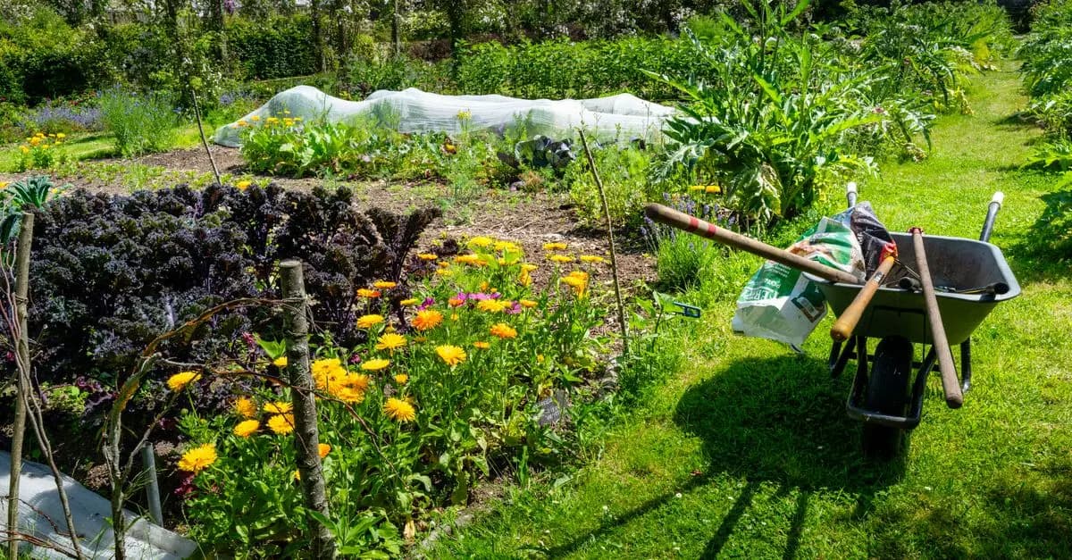 10 Consigli per Creare un Giardino Verticale Sostenibile