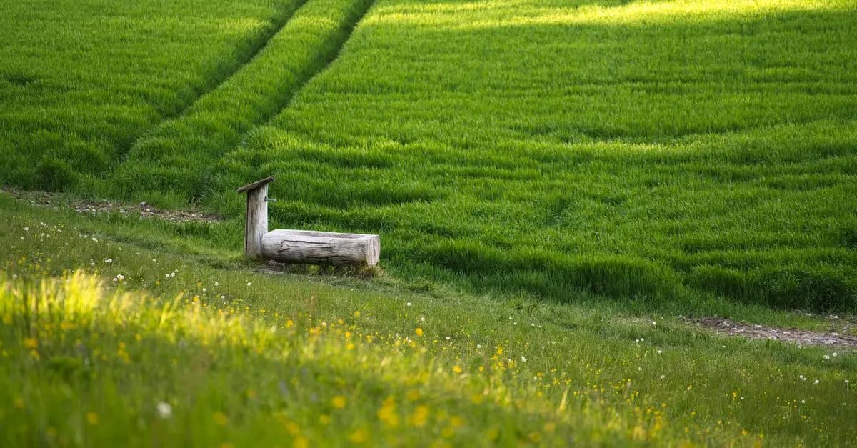 Come Costruire una Panchina Fai-da-te per il Giardino