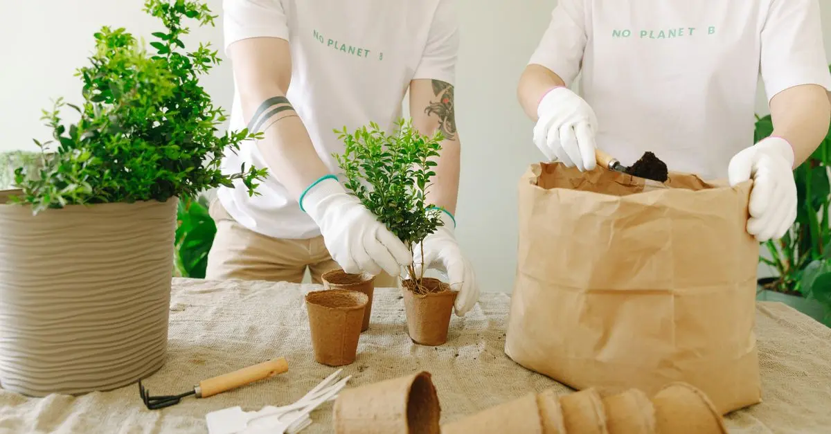 Come Progettare un Giardino Fai-da-te Sostenibile