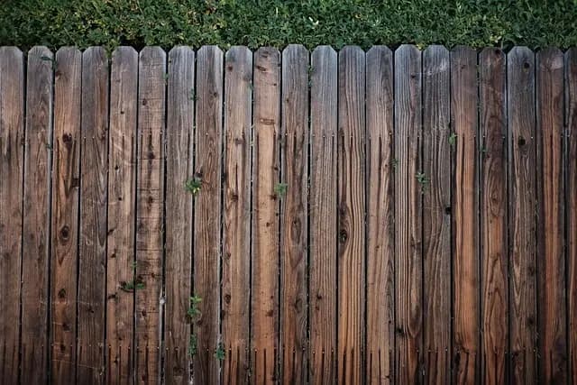 10 Progetti Fai-da-te per Rinnovare il Giardino con Stile